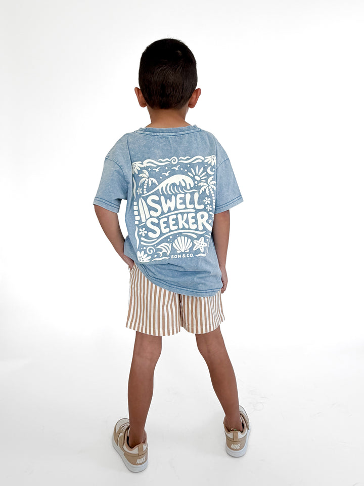 Swell Seeker